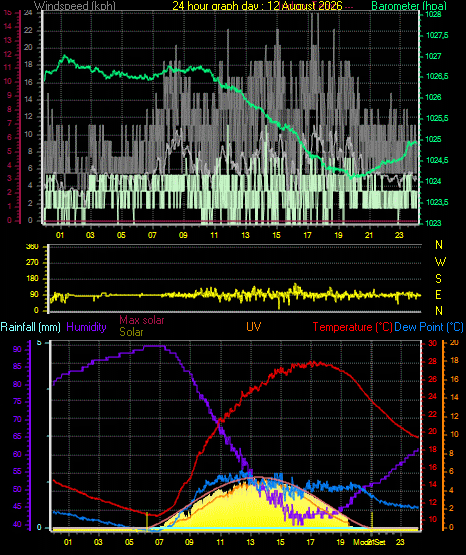 24 Hour Graph for Day 12