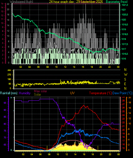 24 Hour Graph for Day 29